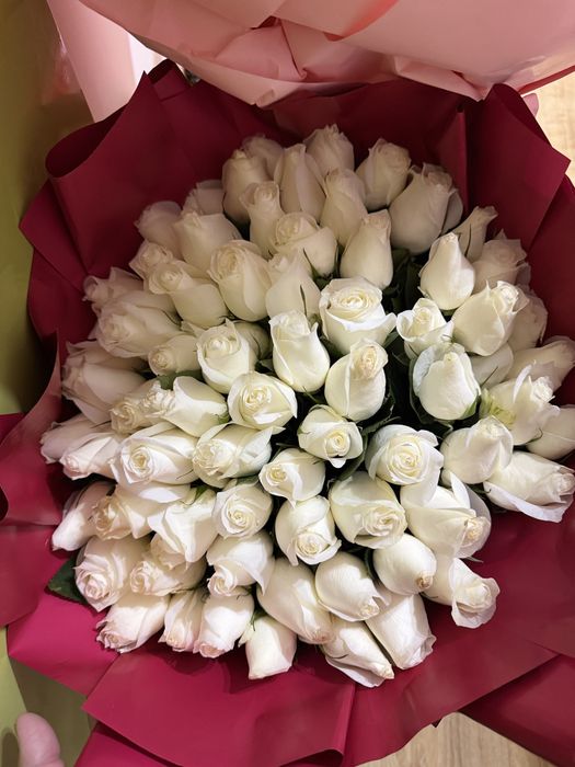 Свежий 60 см ақ роза