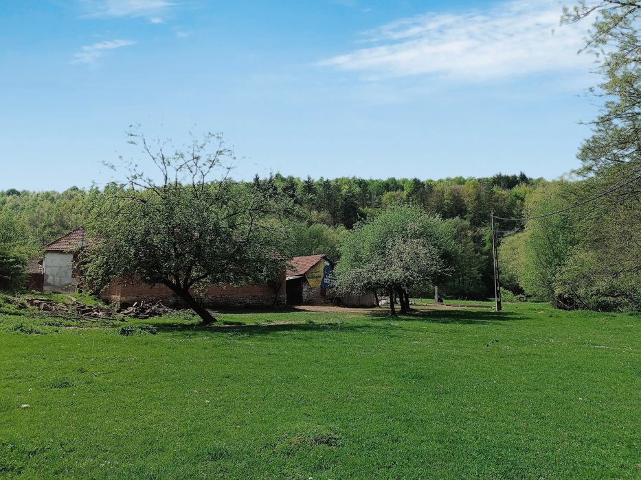 Proprietate Casă+grădina de vânzare