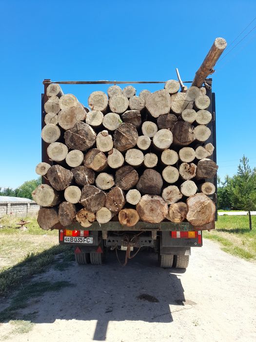 ARZON TERAK masulotlari