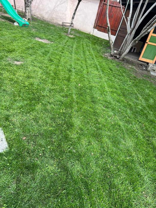 Casa central deosebita