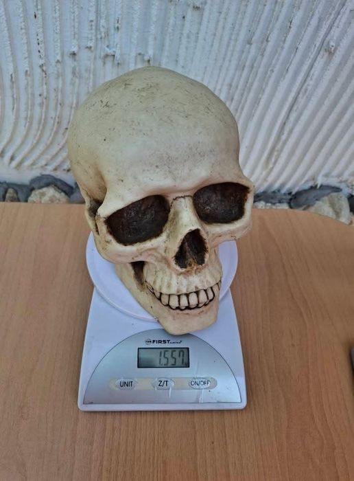 Реалистична статуетка на череп