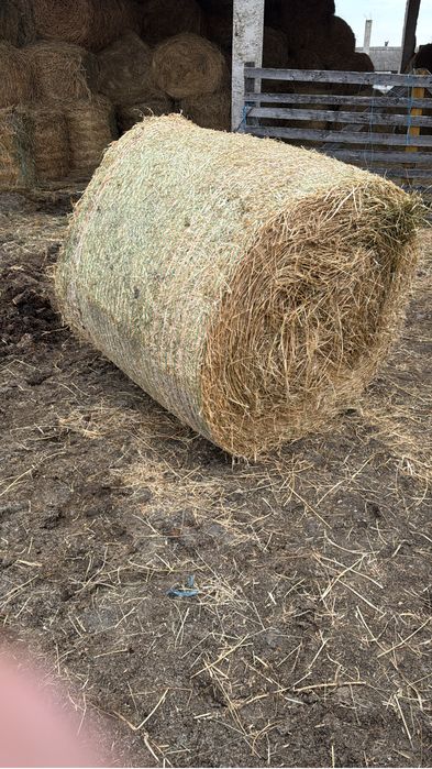 Baloti de lucerna, fan si ovaz calitate superioara