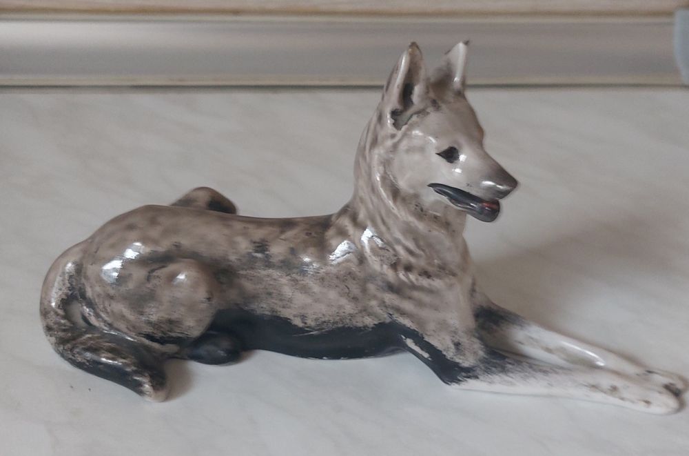 Собачка  ,  редкий  экземпляр