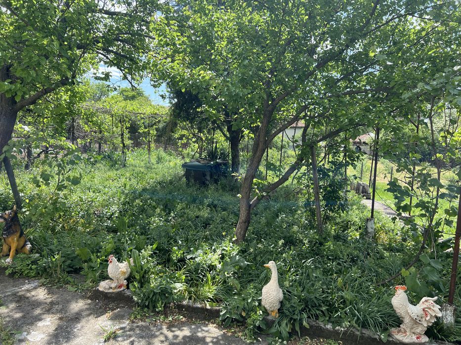 Къща село великан