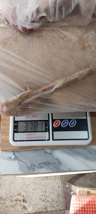 Продам домашнюю утку