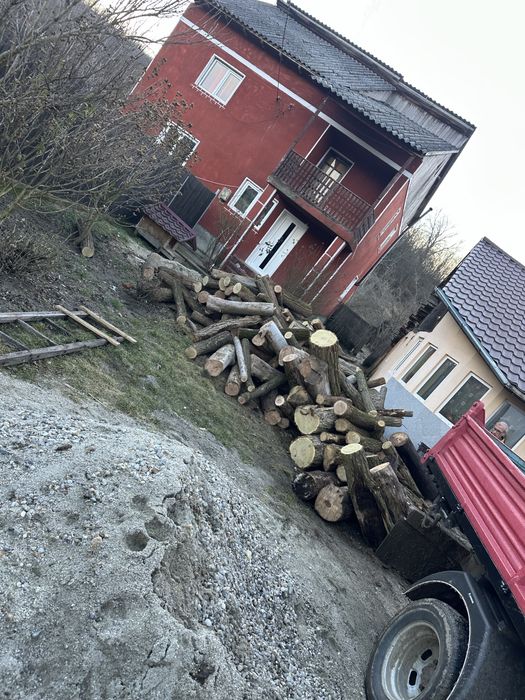 Vand lemne diferite esente