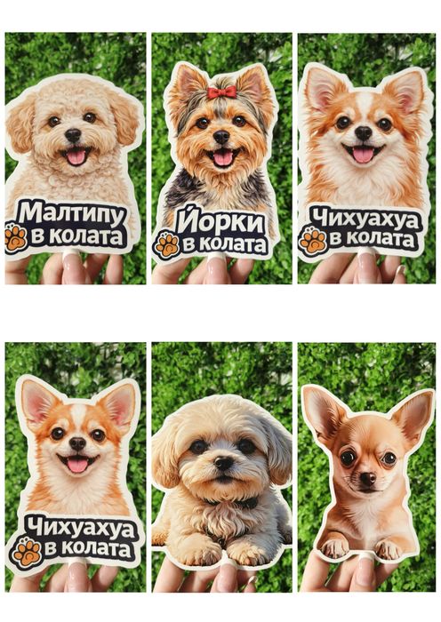 Стикери за кола - куче/котка в колата - различни породи, UV защита