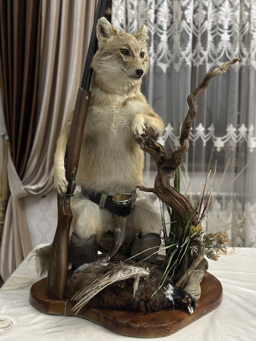 Продам чучело животного