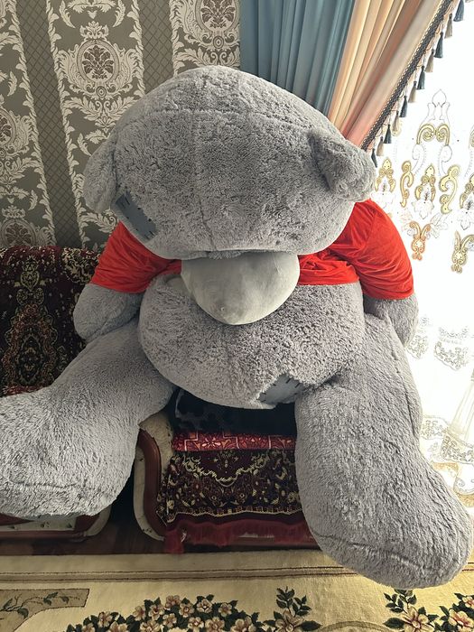 Mishka yangi sotiladi eng kattasi