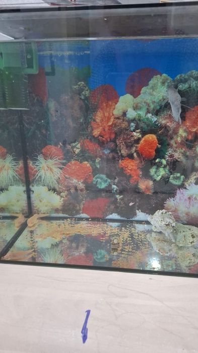 Продам аквариум с рыбками