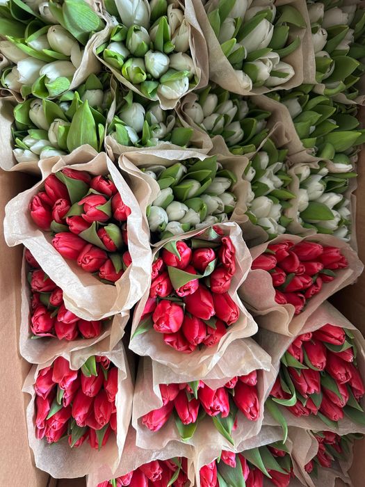 Тюльпаны предзаказ к 8 марта