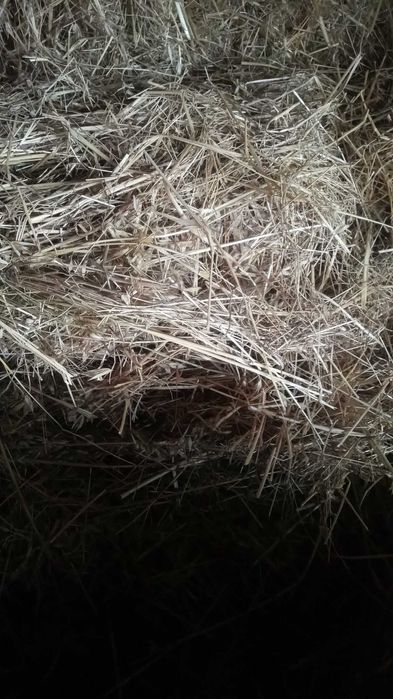 Продавам сено бали
