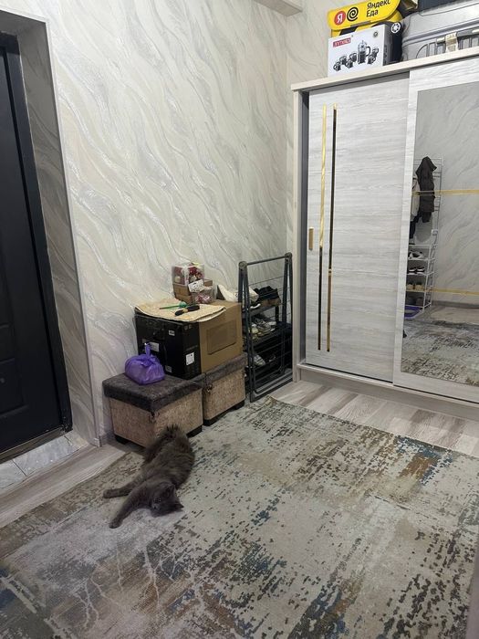 Сдаётся в аренду квартира 1 комнатная Новостройка.