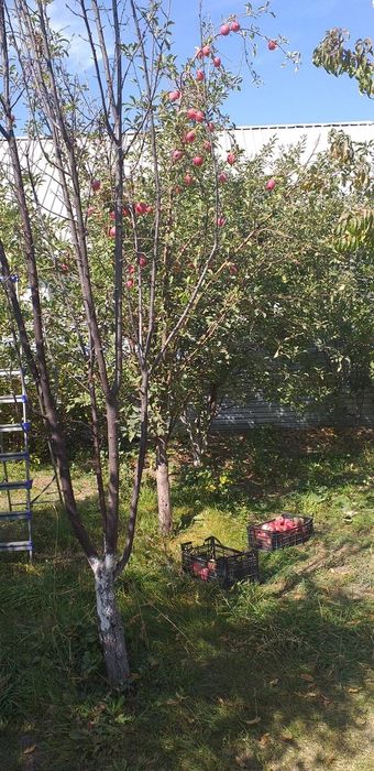 Дом, загородный дом