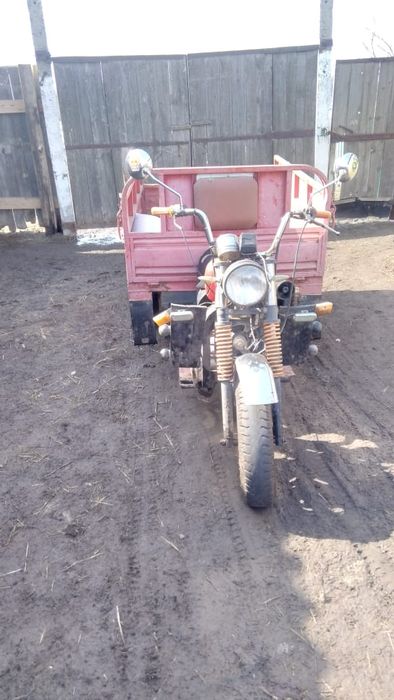 Продам муравей педа