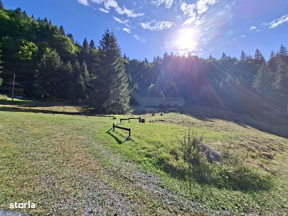 Teren intravilan la munte