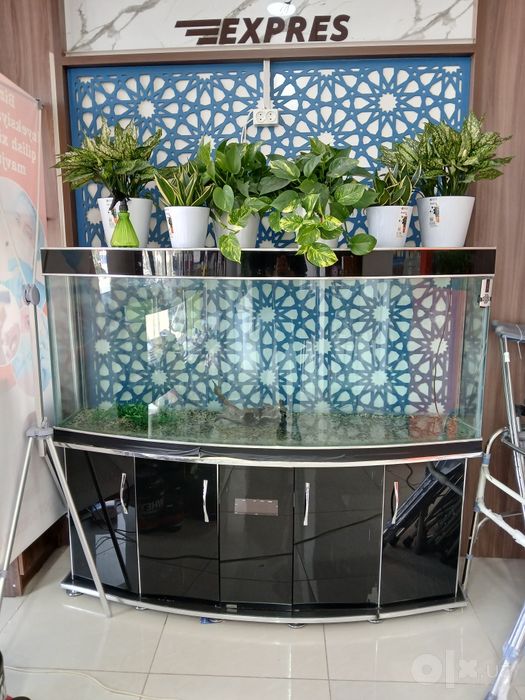 Akvarium 500 litrli