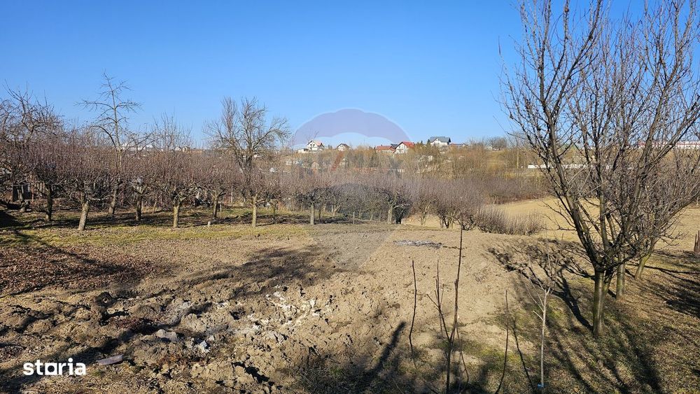 Casă / Vilă , Salcea, Suceava