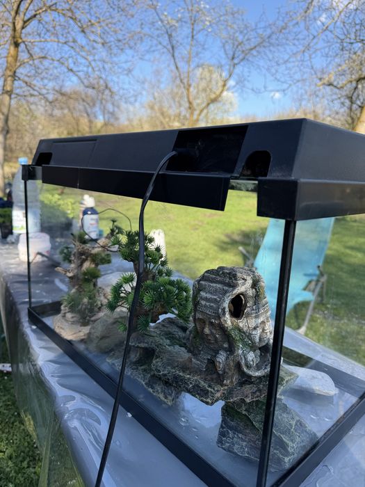 Juwel Acvariu primo 60