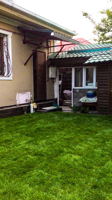 Посев газона,рулонный газон