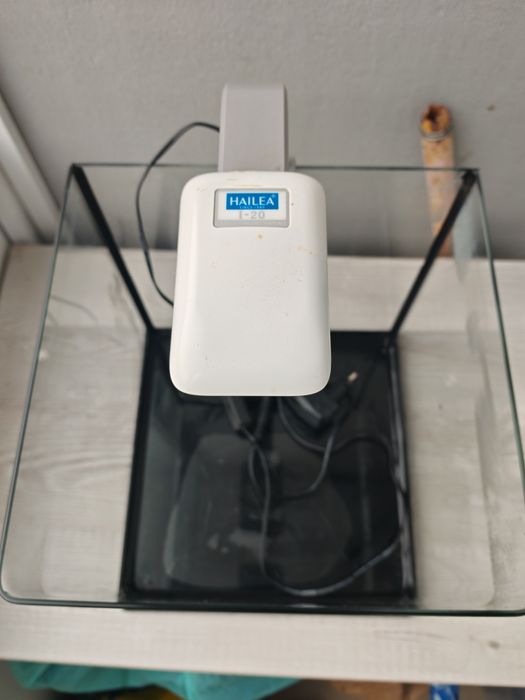 Vând acvariu și lampa