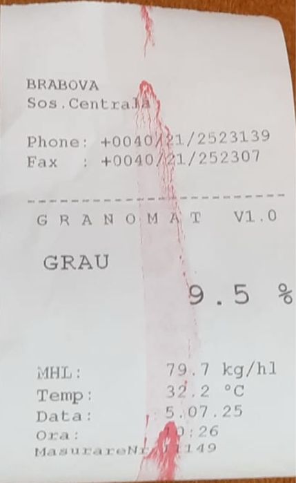 Grau 2025, floarea soarelui 2024