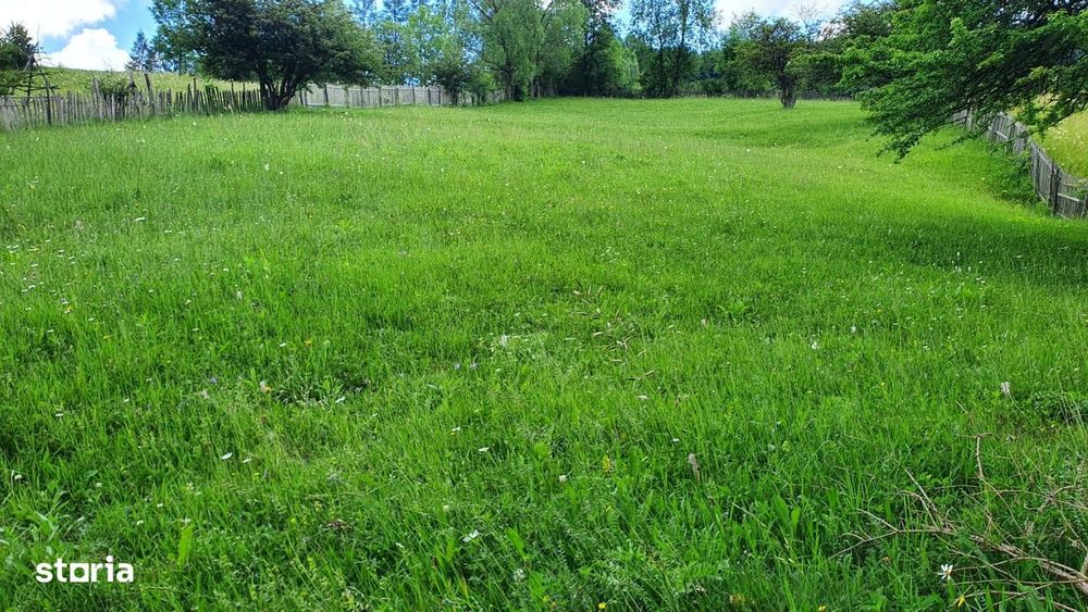 Valea Doftanei Teren superb oportunitate imobiliara investitie sigura