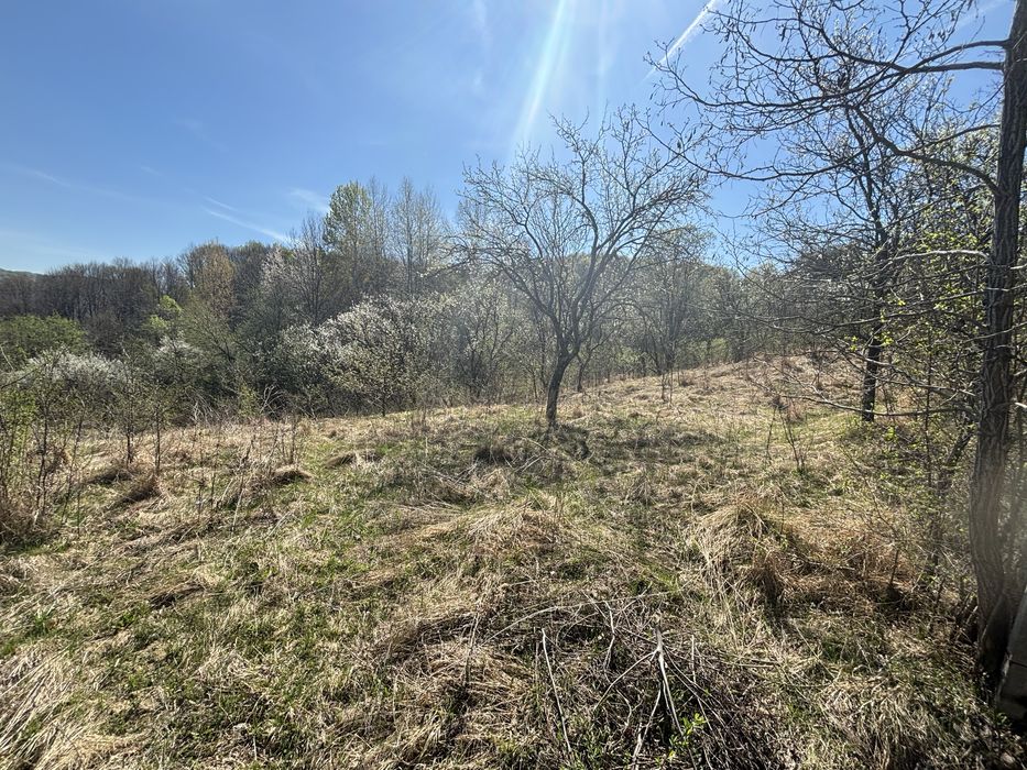 Raul Alb de Sus - extravilan faneata -5246mp