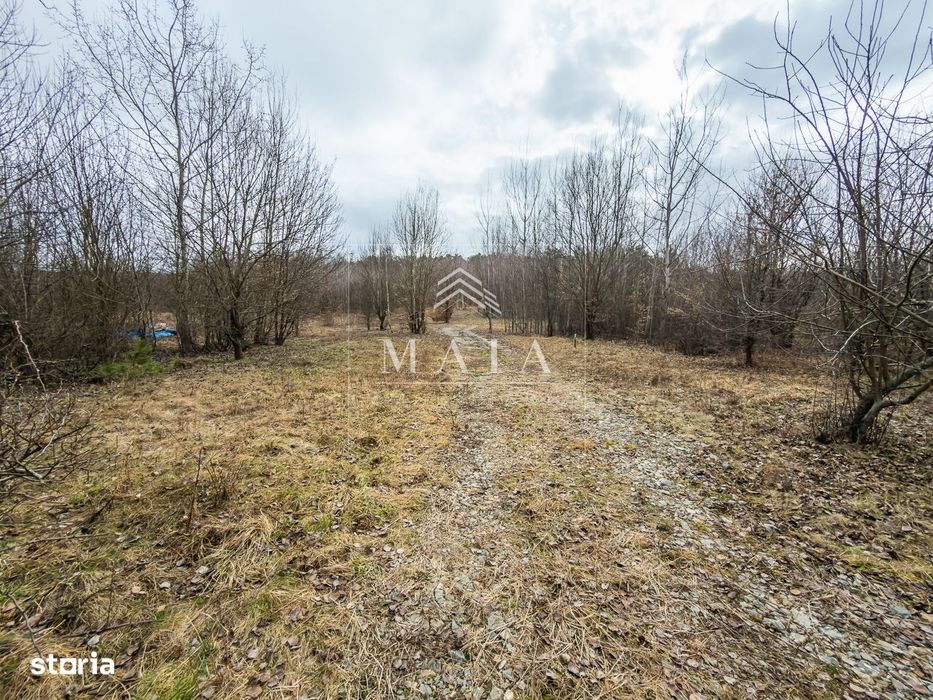 Teren extravilan 2200 mp, zona Calea Poplăcii, la 5 min de Valea Aurie