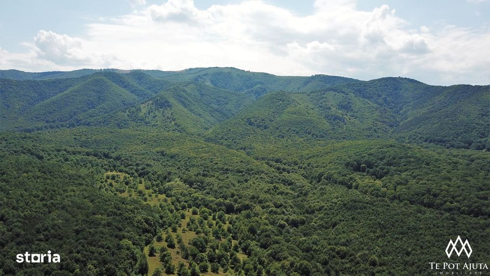 Livadă de Nuci, 11 Hectare comasate, Cisnădie, Jud. Sibiu