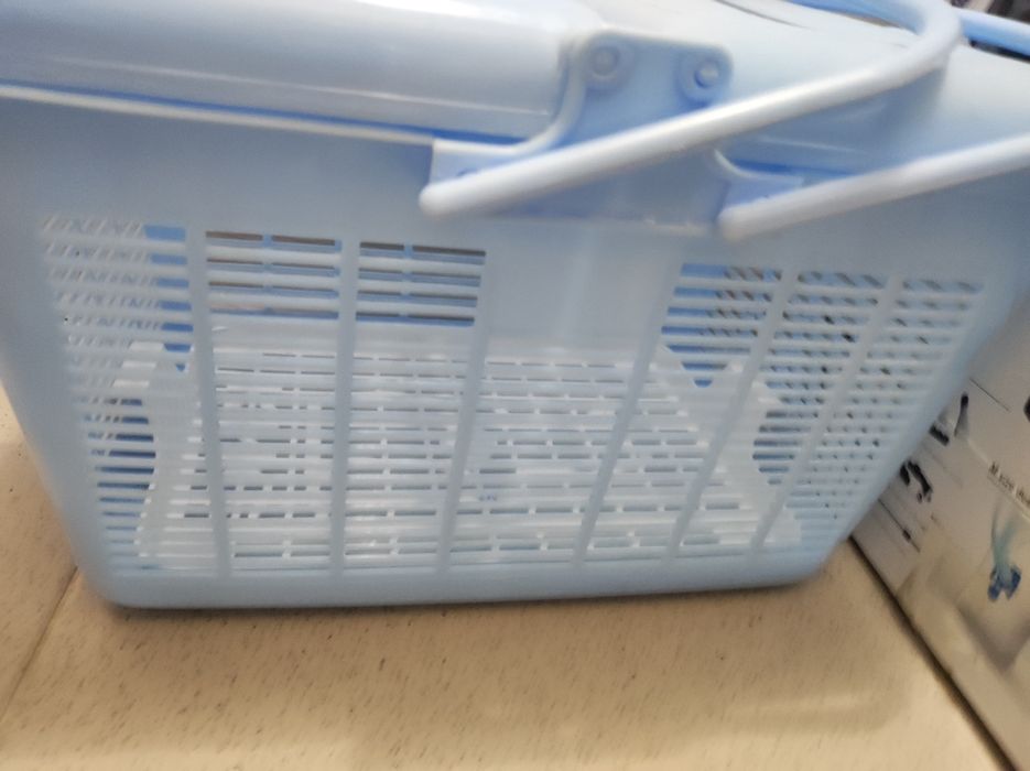 переноска для котят