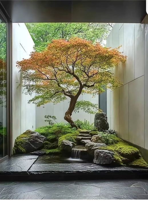 Ландшафтный дизайн