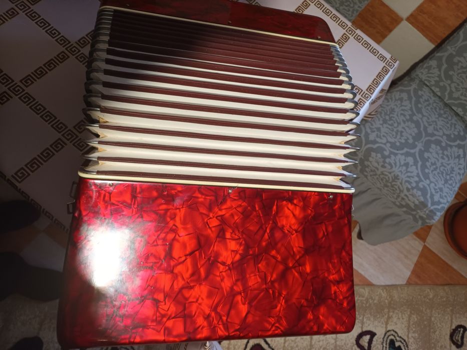 Vând acordeon parrot