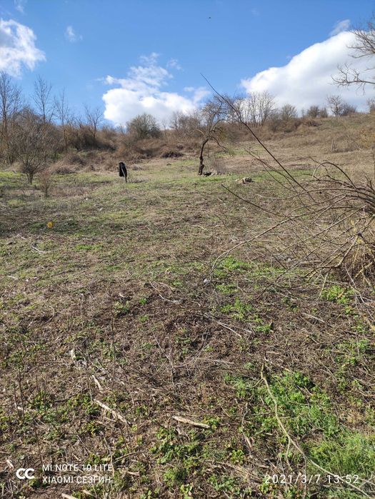 Продава се Парцел в с. Лозница, Област Добрич - 10000 кв.м за 2 €/кв.м - Снимка #3