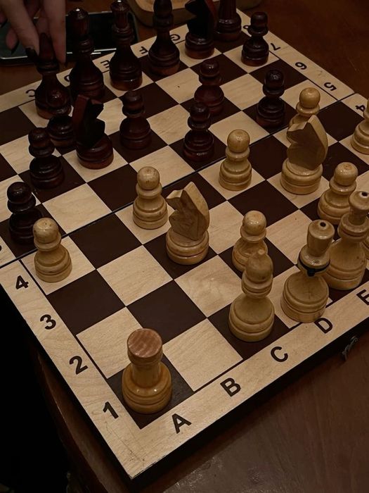 Тренер по Шахматам