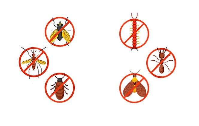 Унищожаване на вредители, хлебарки и всякакъв вид насекоми- Топ цени!