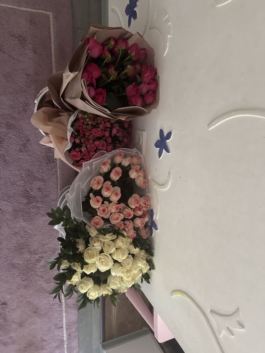 Цветы новые срочно продам