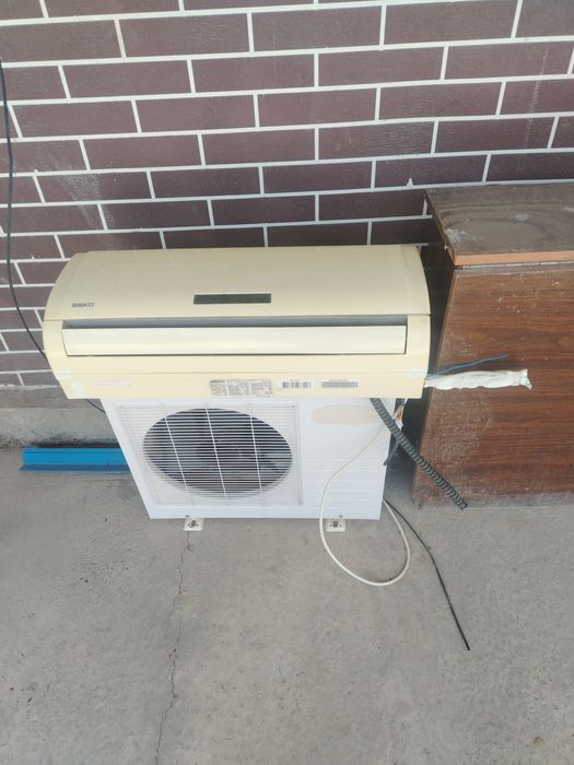 Kansaner zima leta kanditsaner