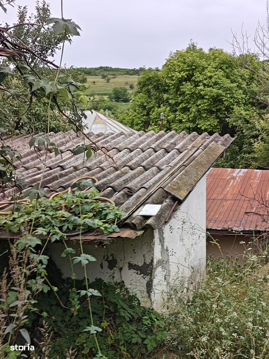 Teren intravilan Balciu Miroslava