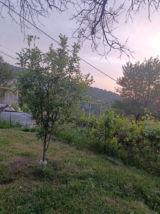 Продаётся дача в широкой щели