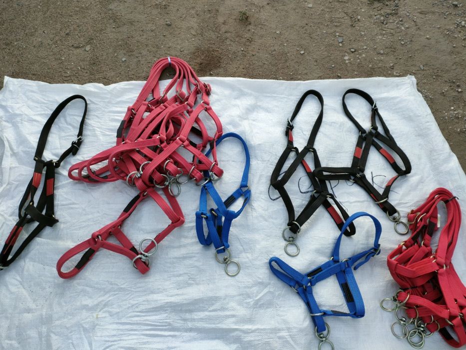 Продам новый недоуздок усиленые