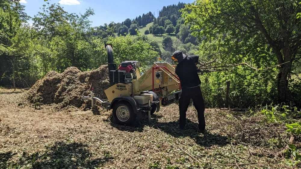 Tocător Crengi Negri R240