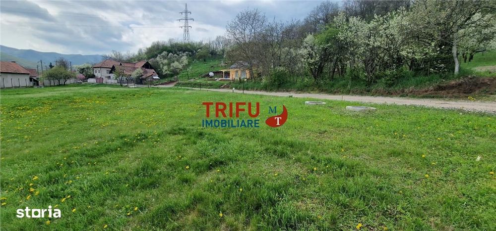 Teren de vis la liziera pădurii – liniște, natură și aer curat!