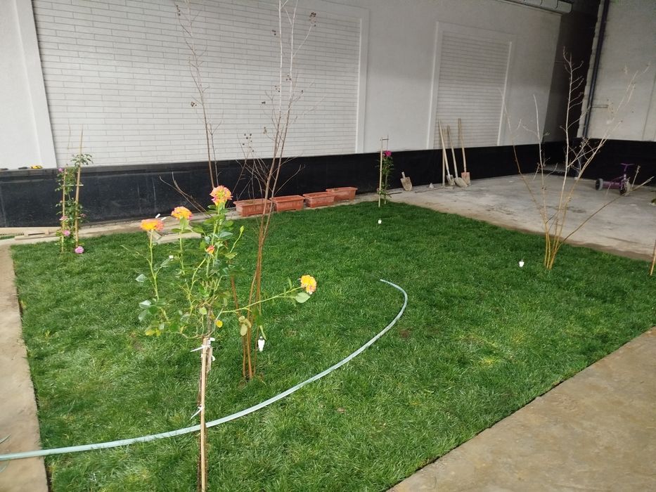 Gazon ekamiz Urug' Sepamiz Landshaft Va Dizayn Ishlarini Qilamiz