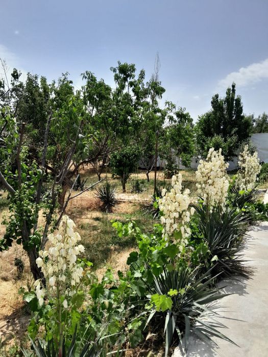 Срочно!! продаётся/сдаётся дача