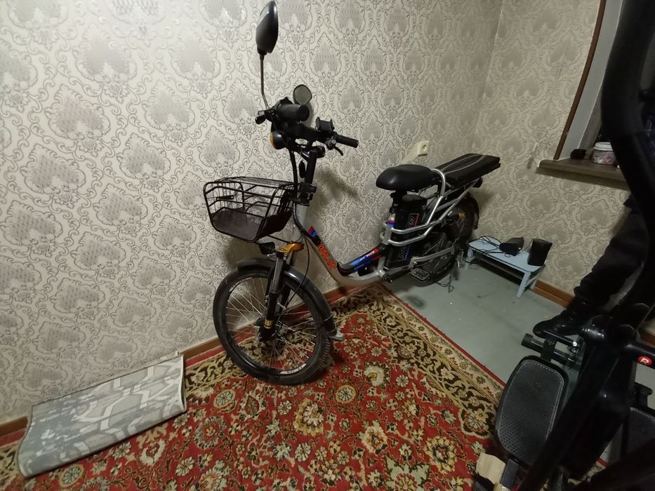 Skuter Horatio ideal