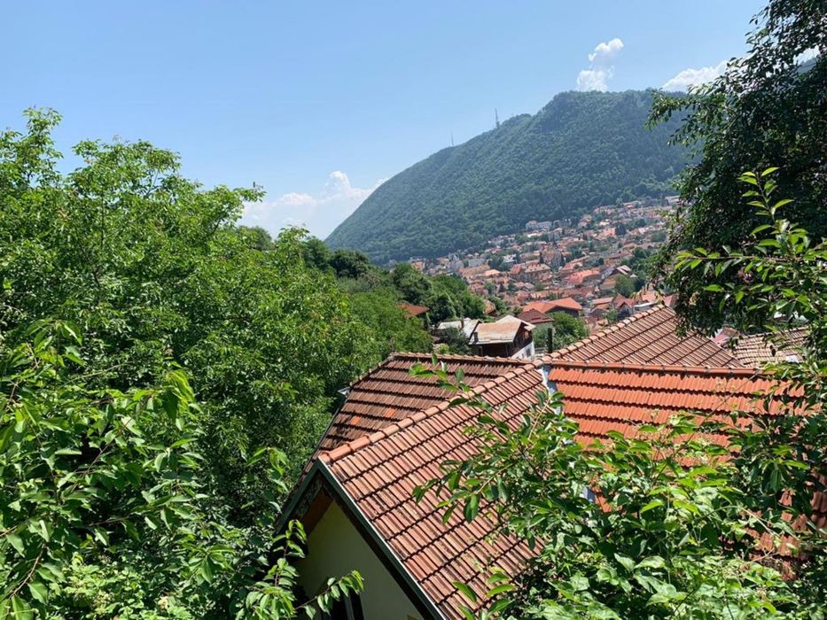 Teren Drumul de Poiana (1000 m2 , cu utilitati )