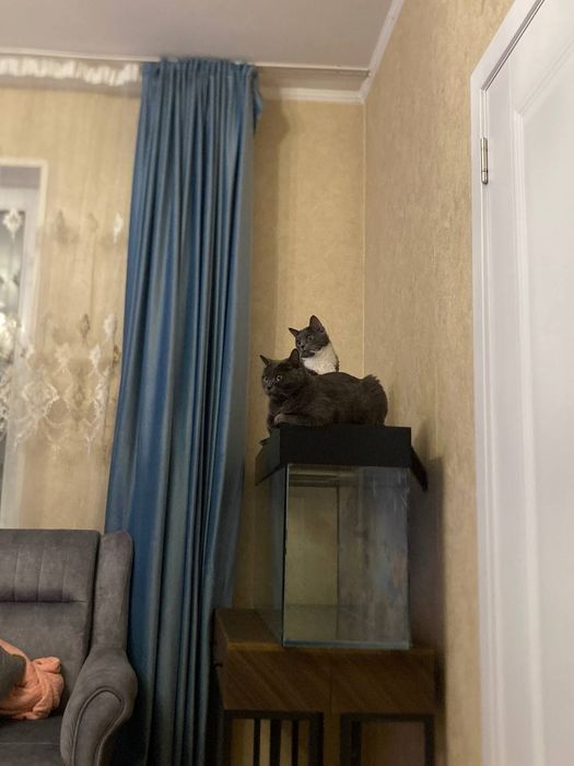 Продам аквариум 150л