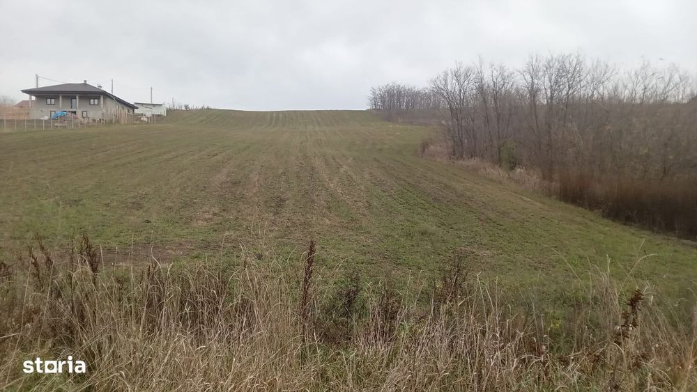 Teren Rediu 5000 mp oportunitate investitie