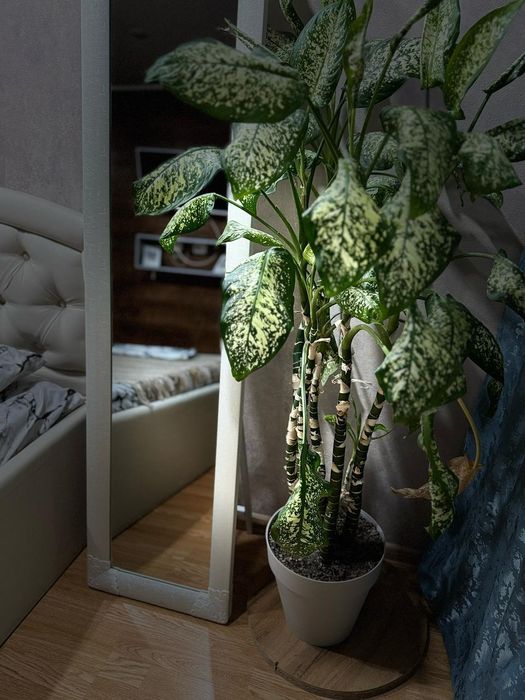 По часам ,ночь, день,сутки